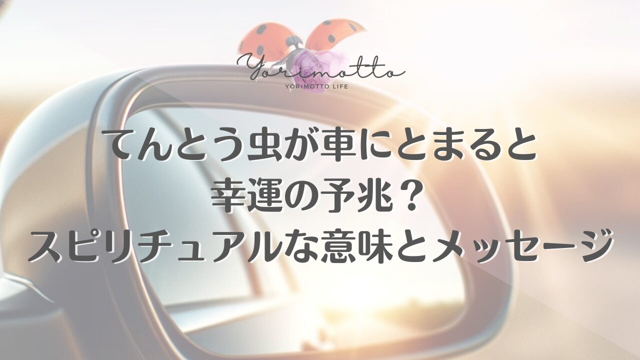 てんとう虫が車にとまると幸運の予兆？スピリチュアルな意味とメッセージ