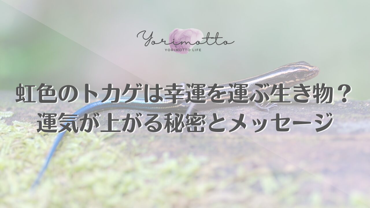 虹色のトカゲは幸運を運ぶ生き物？運気が上がる秘密とメッセージ