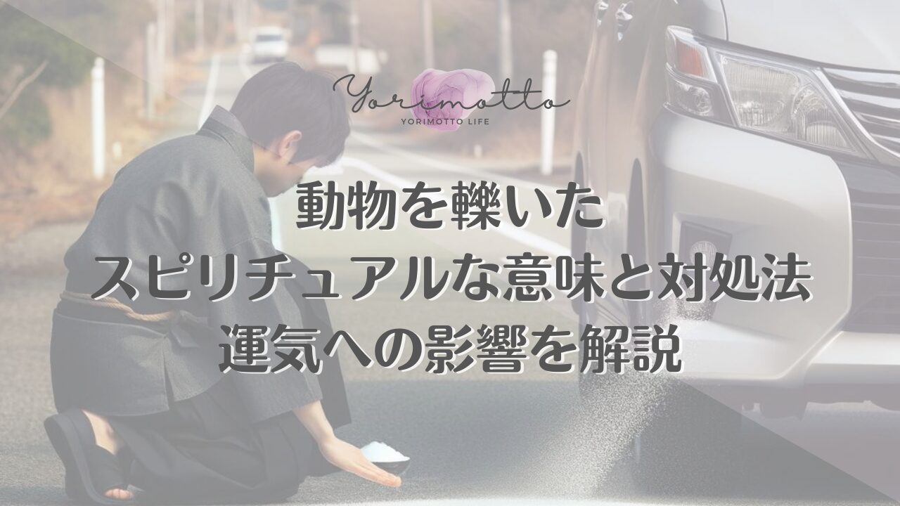 動物を轢いたスピリチュアルな意味と対処法｜運気への影響を解説