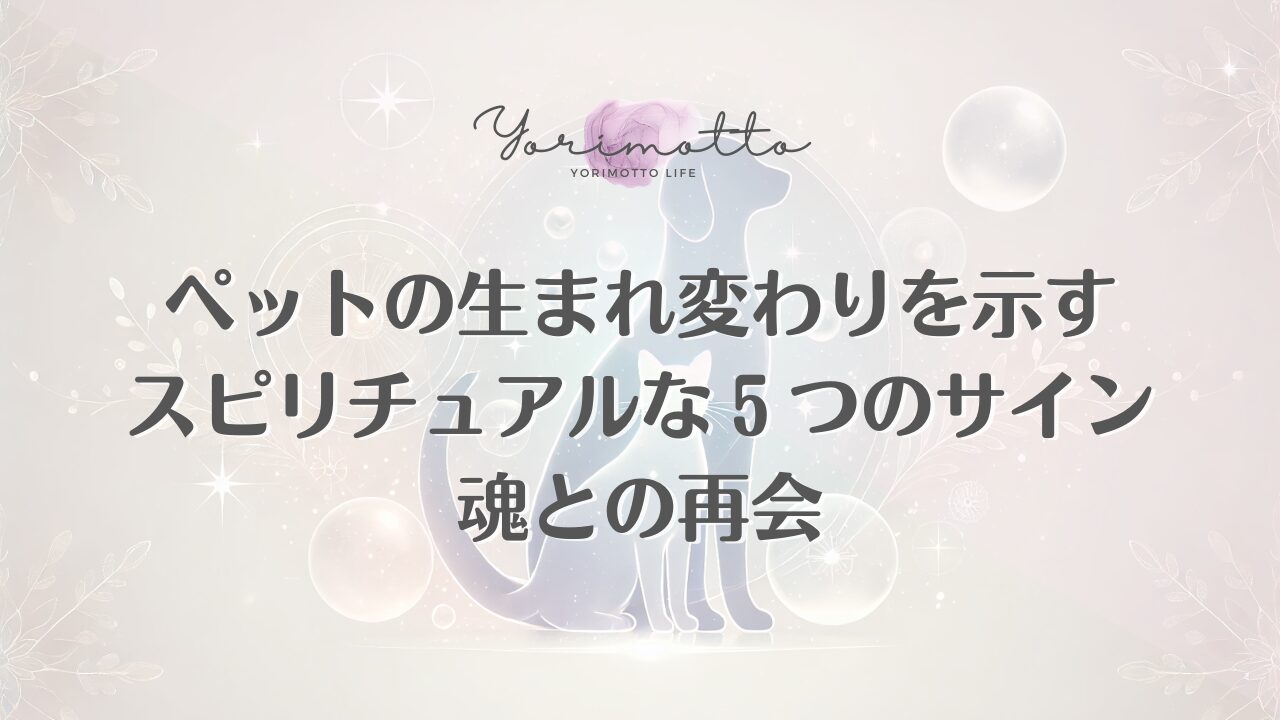 ペットの生まれ変わりを示すスピリチュアルな５つのサイン｜魂との再会