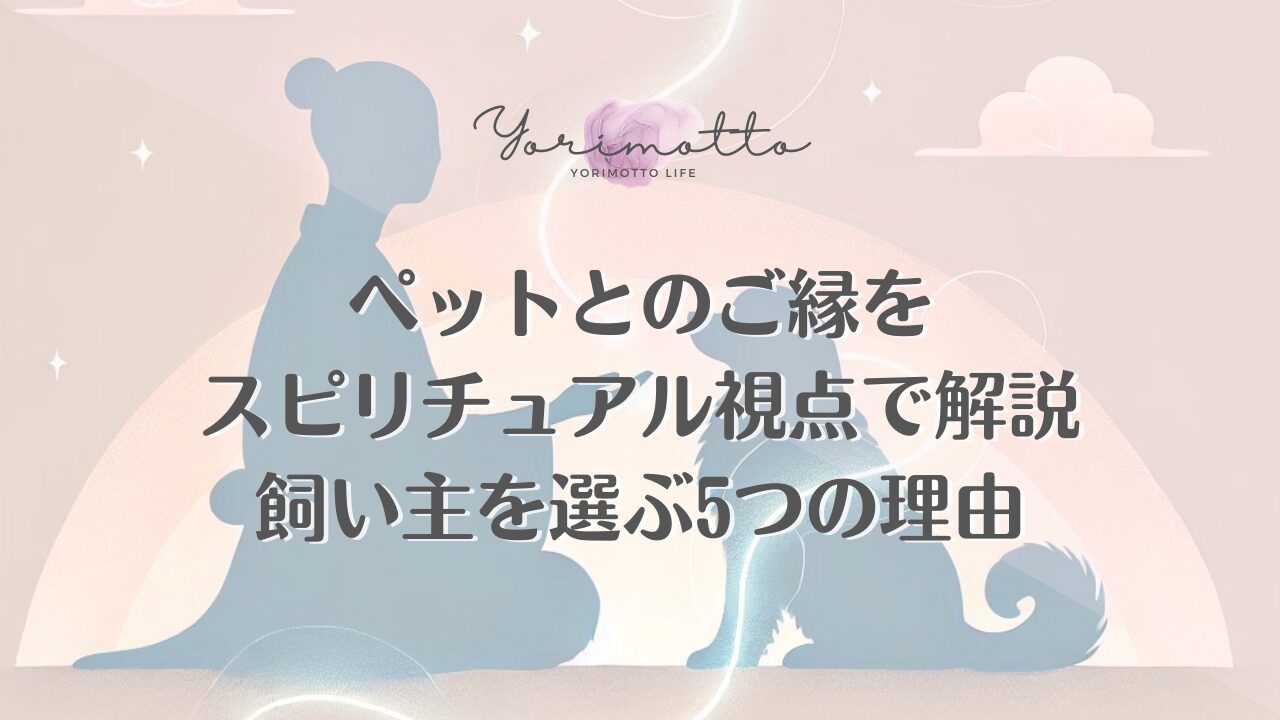 ペットとのご縁をスピリチュアル視点で解説｜飼い主を選ぶ5つの理由