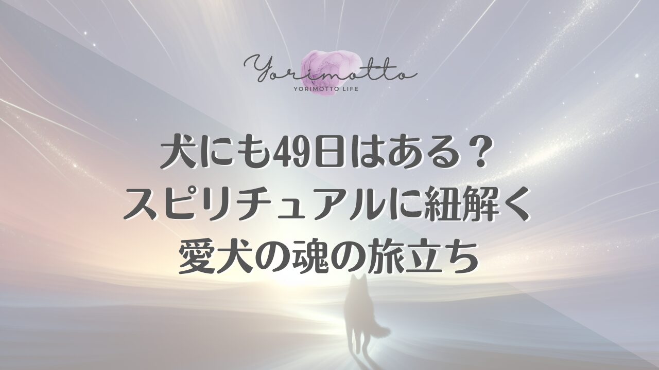 犬にも49日はある？スピリチュアルに紐解く愛犬の魂の旅立ち