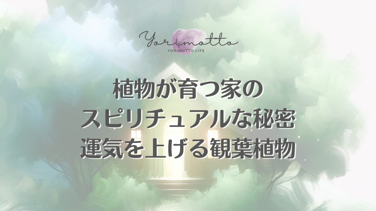 植物が育つ家のスピリチュアルな秘密｜運気を上げる観葉植物