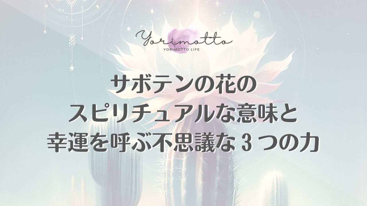 サボテンの花のスピリチュアルな意味と幸運を呼ぶ不思議な３つの力