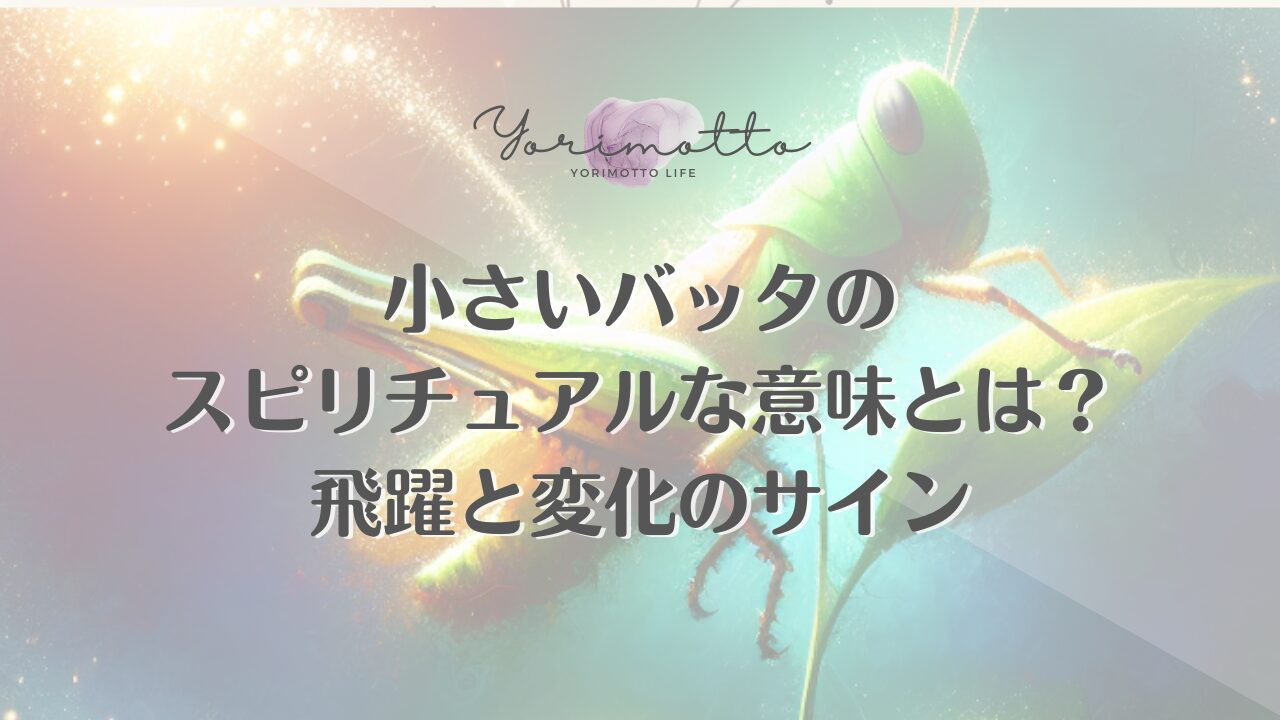 小さいバッタのスピリチュアルな意味とは？飛躍と変化のサイン