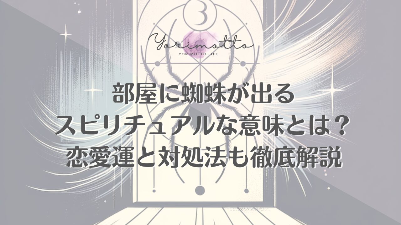 部屋に蜘蛛が出るスピリチュアルな意味とは？恋愛運と対処法も徹底解説