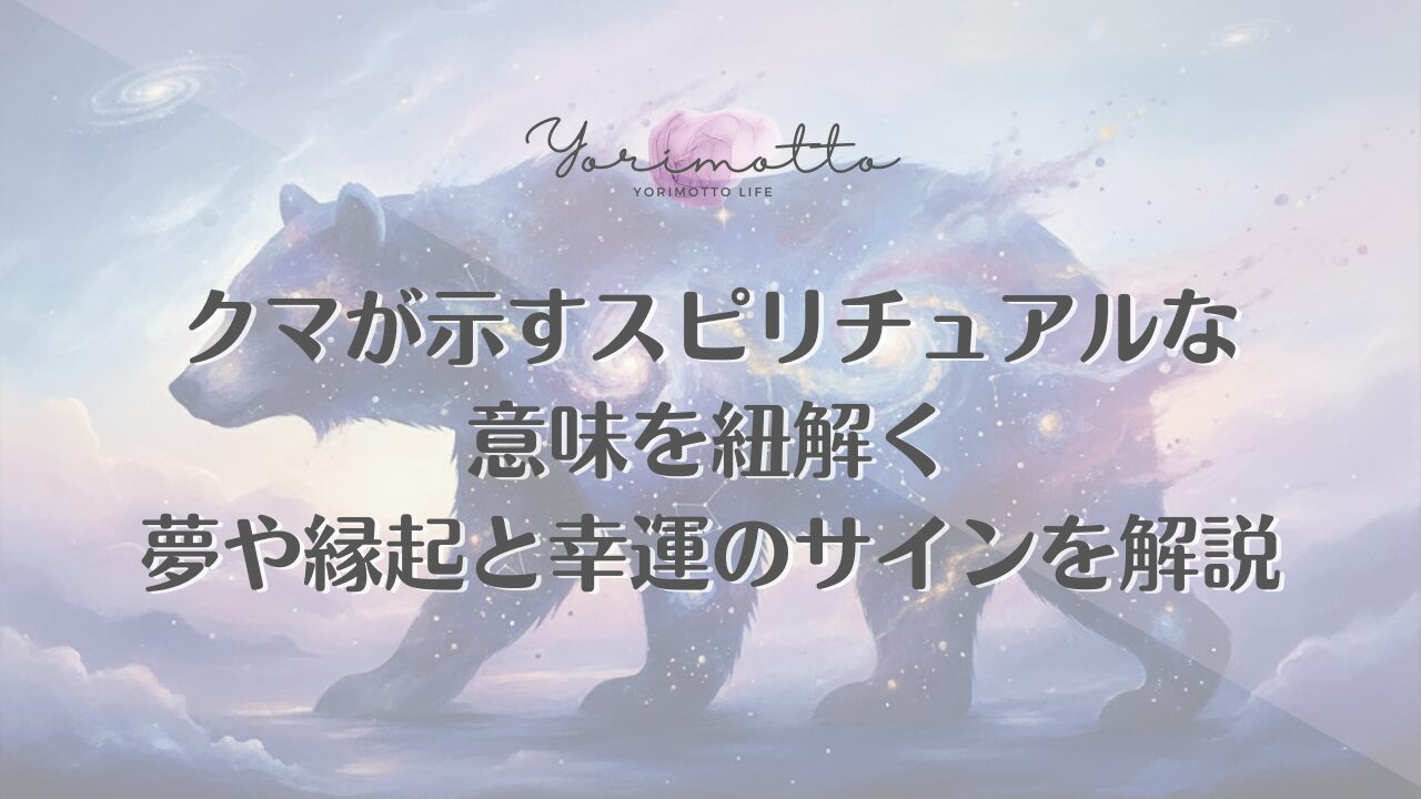 クマが示すスピリチュアルな意味を紐解く｜夢や縁起と幸運のサインを解説