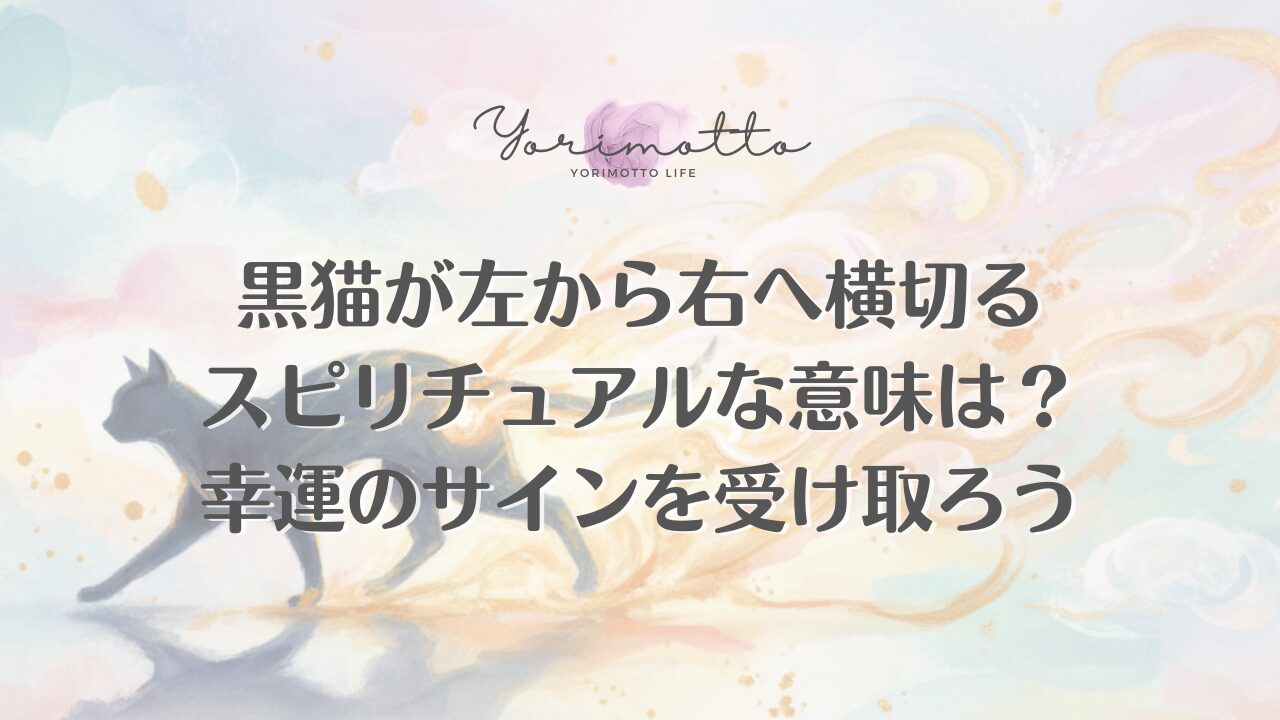 黒猫が左から右へ横切るスピリチュアルな意味は？幸運のサインを受け取ろう