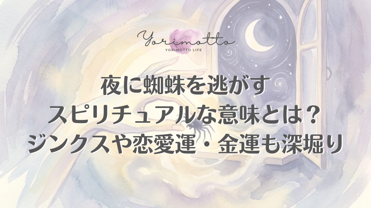 夜に蜘蛛を逃がすスピリチュアルな意味とは？ジンクスや恋愛運・金運も深堀り
