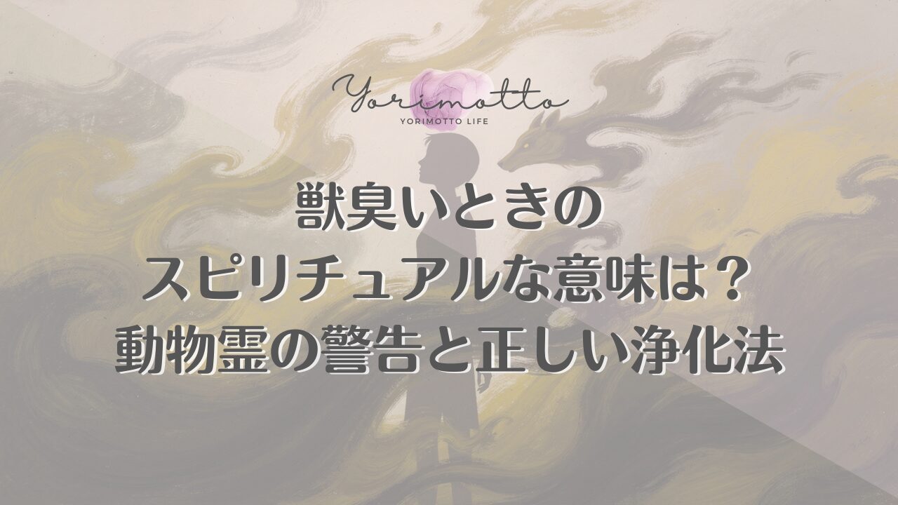獣臭いときのスピリチュアルな意味は？動物霊の警告と正しい浄化法