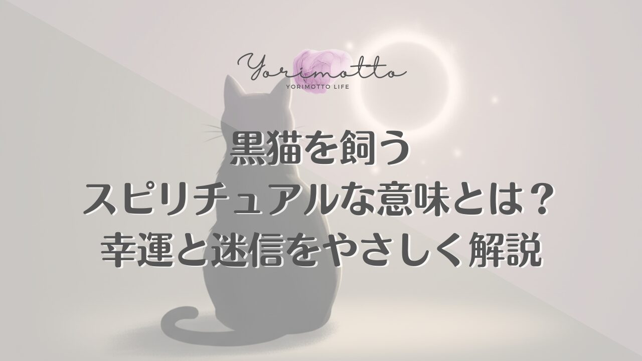 黒猫を飼うスピリチュアルな意味とは？幸運と迷信をやさしく解説