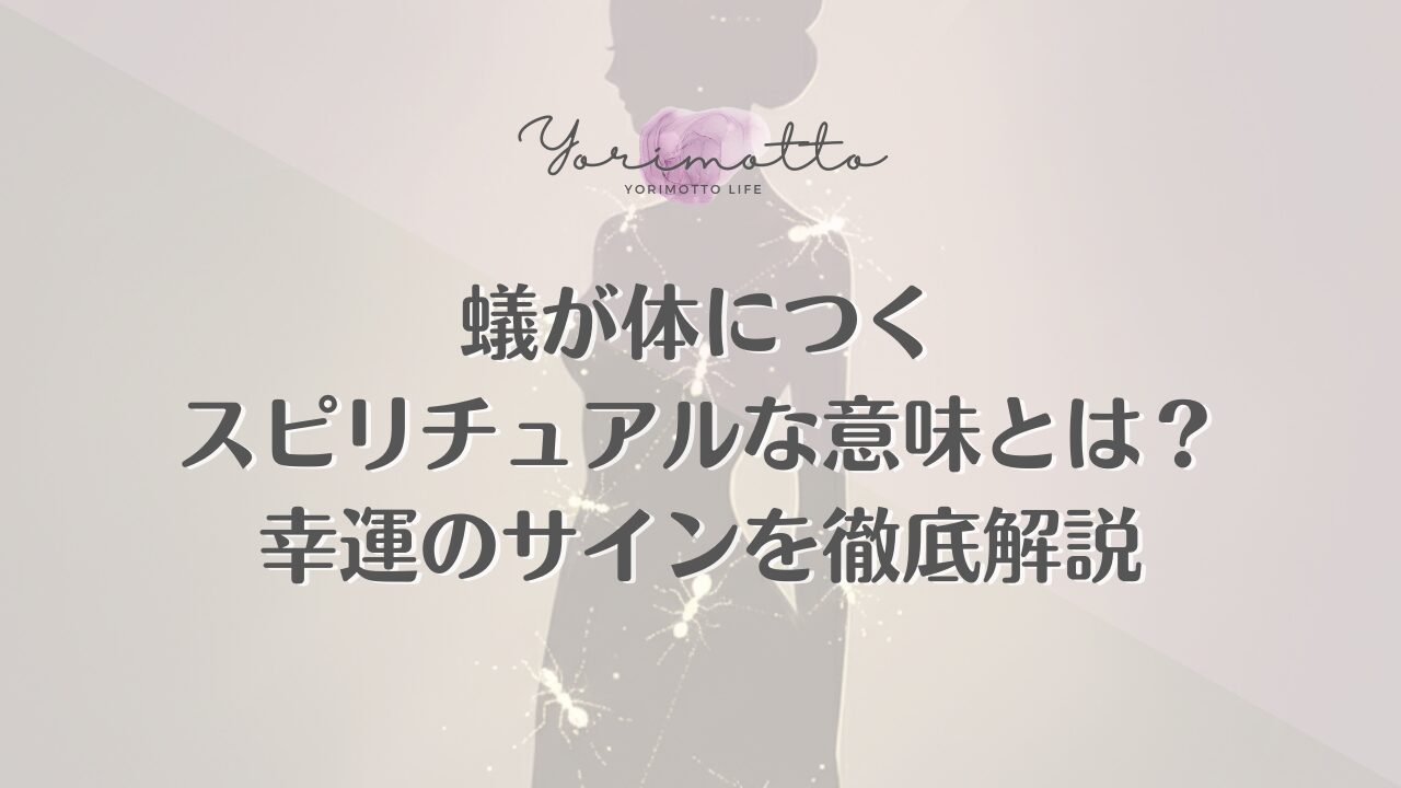 蟻が体につくスピリチュアルな意味とは？幸運のサインを徹底解説