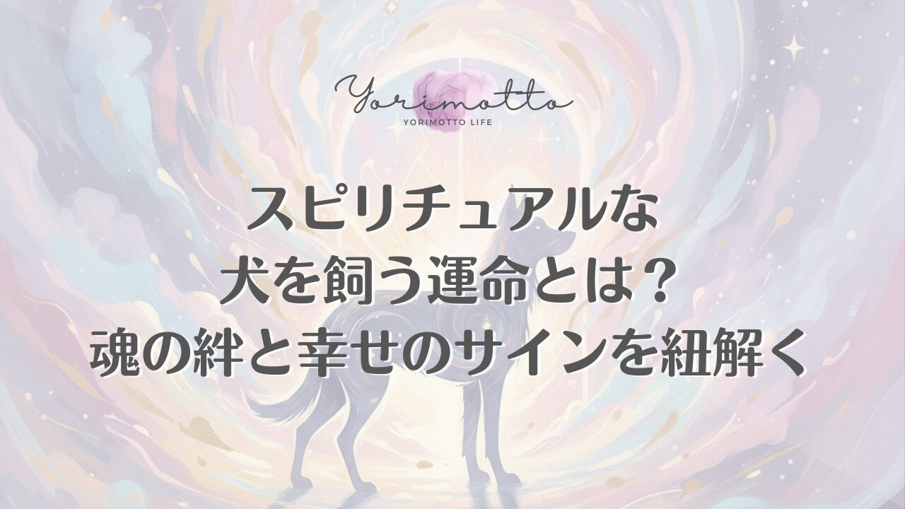 スピリチュアルな犬を飼う運命とは？魂の絆と幸せのサインを紐解く