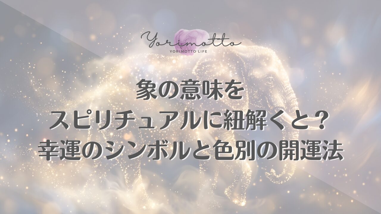象の意味をスピリチュアルに紐解くと？幸運のシンボルと色別の開運法