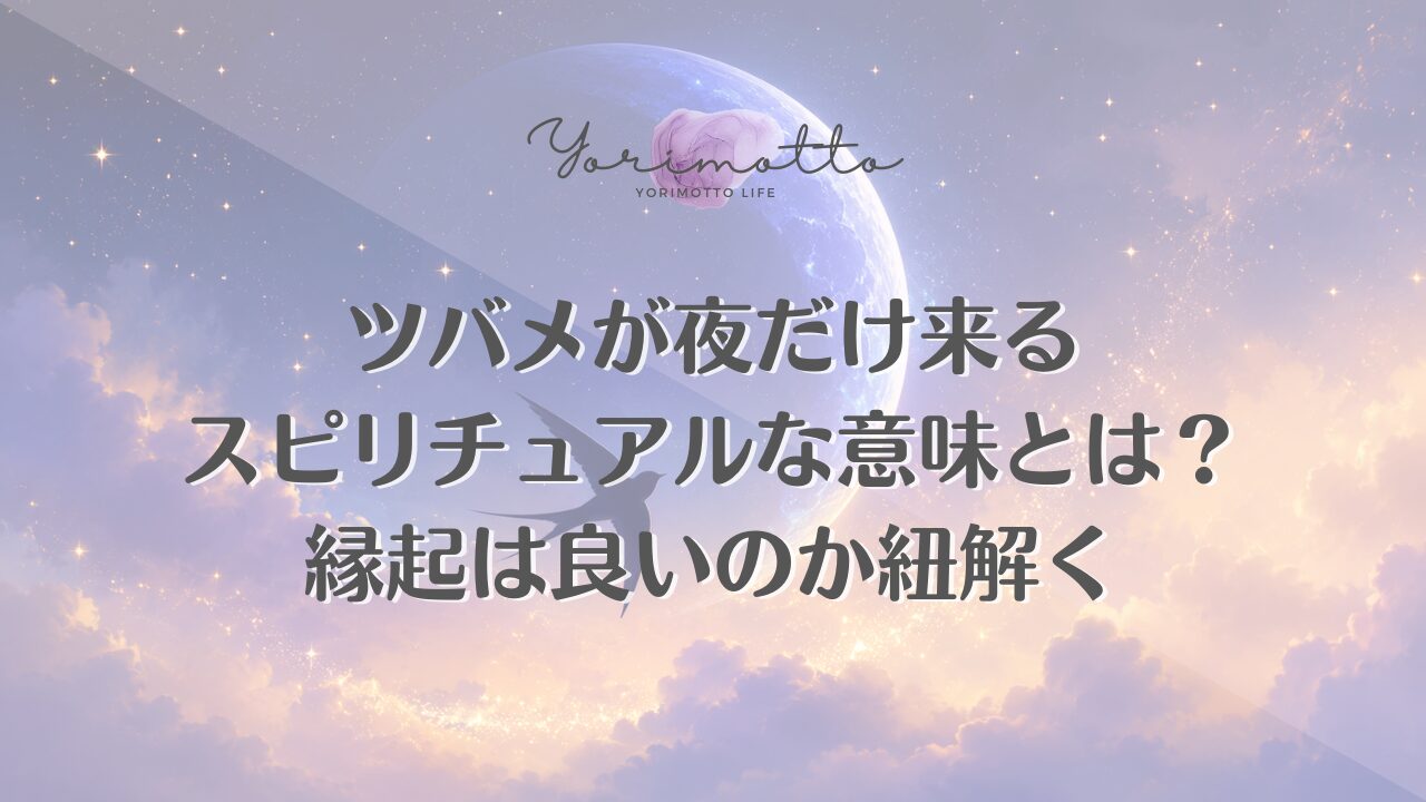 ツバメが夜だけ来るスピリチュアルな意味とは？縁起は良いのか紐解く